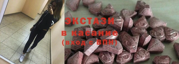 индика Алексин