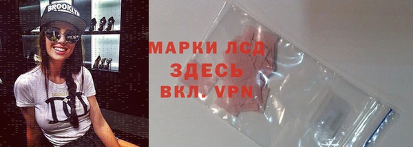 индика Алексин