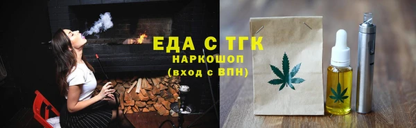 индика Алексин