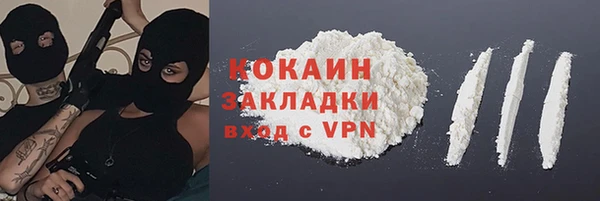 индика Алексин