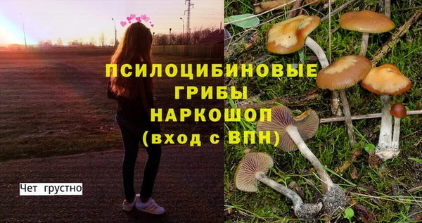 jwh Алзамай
