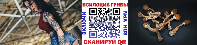 Псилоцибиновые грибы мицелий  Зеленогорск 